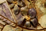 08-violets-glazes